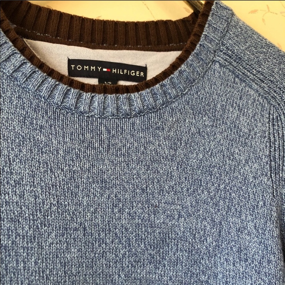 Tommy Hifiger sweater-blue/brown size large